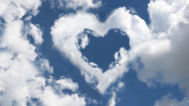 揭秘塑胶跑道技术：市场上有多少种不同的材料